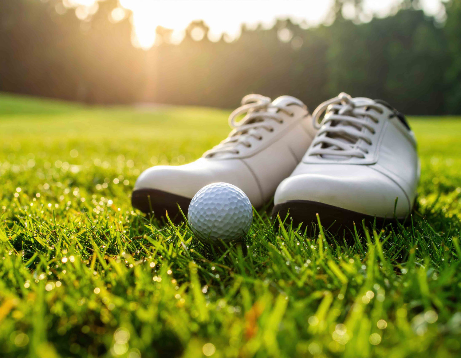 Men's Golf Shoes