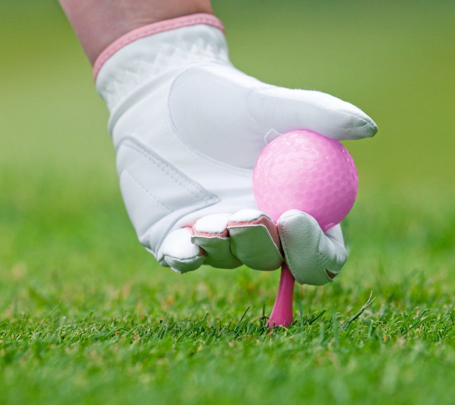 Golf Accessories